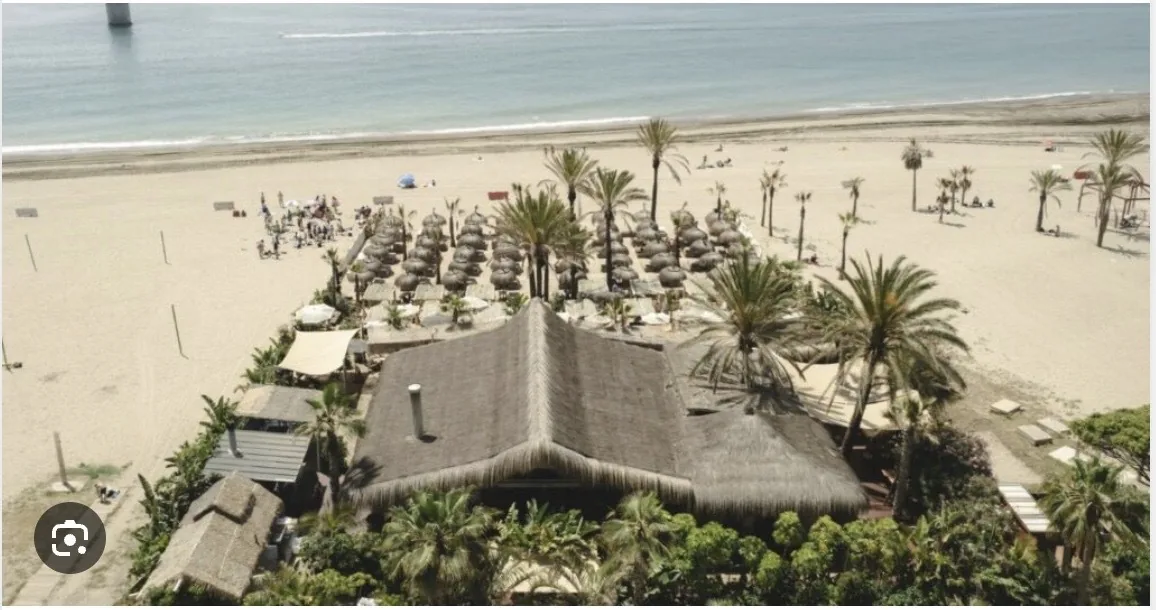 Club de playa bohemio-chic Playa Padre Marbella con tumbonas rústicas frente al mar, palmeras y vistas al Mediterráneo