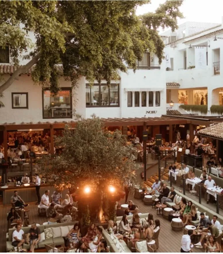 Guía de alta cocina y vida nocturna de Marbella — Puente Romano Plaza de noche
